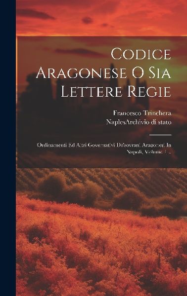 Codice Aragonese O Sia Lettere Regie: Ordinamenti Ed Altri Gov...