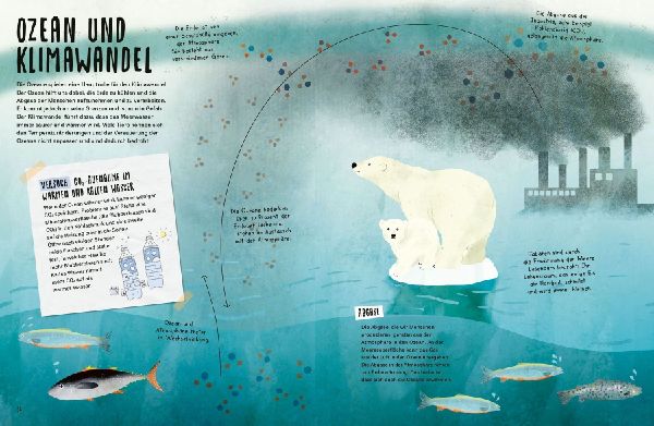 My Ocean Challenge - Kurs auf Klimaschutz - Was unsere Ozeane jetzt brauchen und was du dazu beitragen kannst