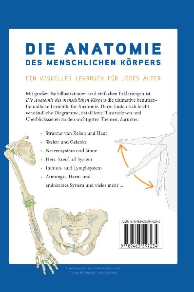 Die Anatomie des Menschlichen Körpers
