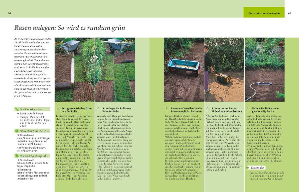 Gartenjahr für Einsteiger