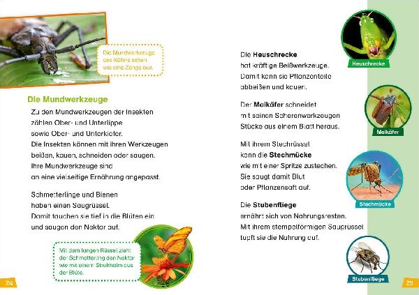 WAS IST WAS Erstes Lesen Band 11. Insekten