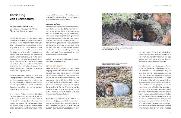 Das große BLV Handbuch Niederwild