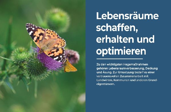 Das große BLV Handbuch Niederwild
