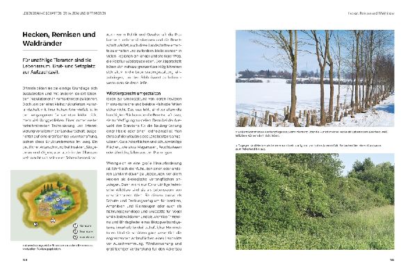 Das große BLV Handbuch Niederwild