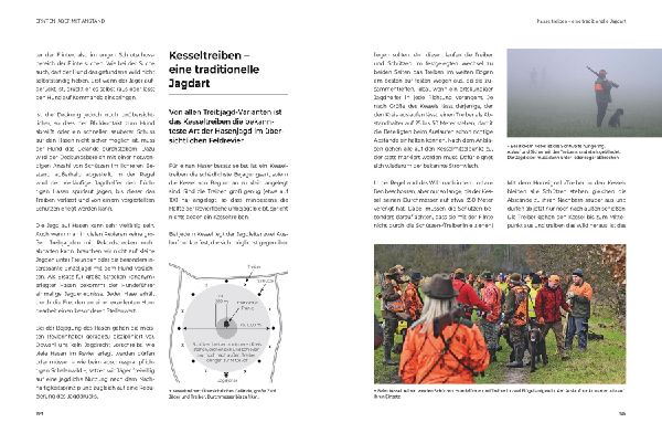Das große BLV Handbuch Niederwild