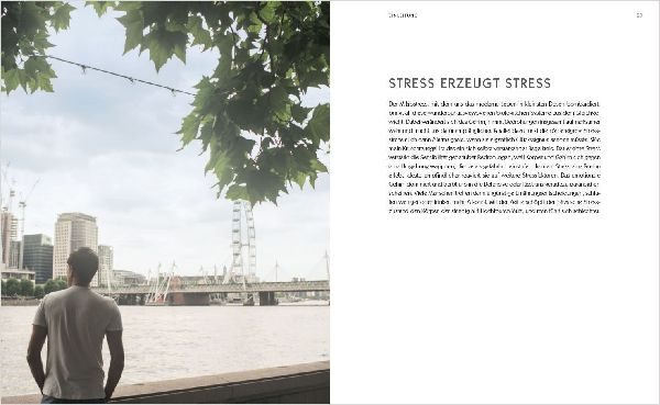 Der Anti-Stress-Plan