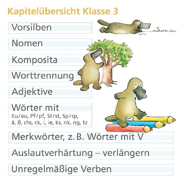 Rechtschreiben mit Rico Schnabel, Klasse 3