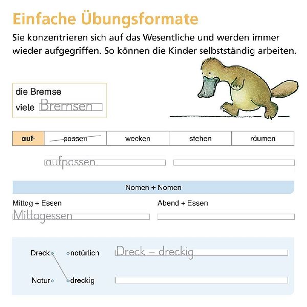 Rechtschreiben mit Rico Schnabel, Klasse 3