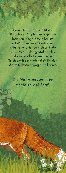 Der große Ravensburger Naturführer - Naturwissen für Kinder ab 5 Jahren