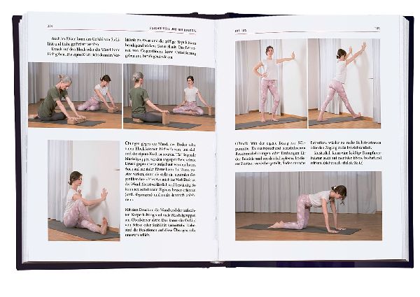 Yoga-Therapie in der Praxis