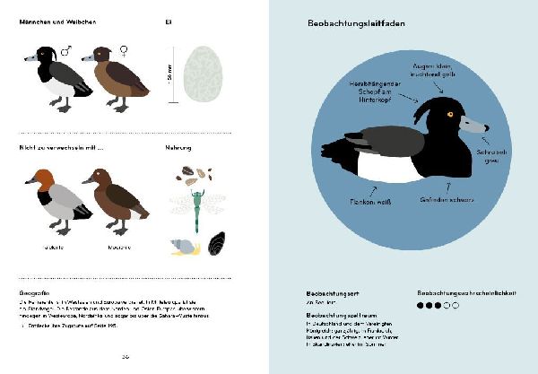 Ornithorama