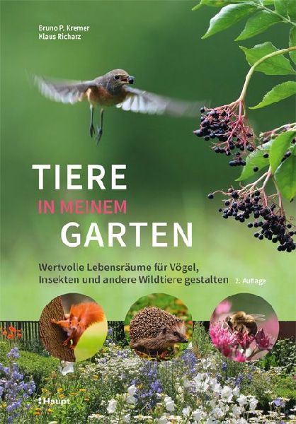 Tiere in meinem Garten