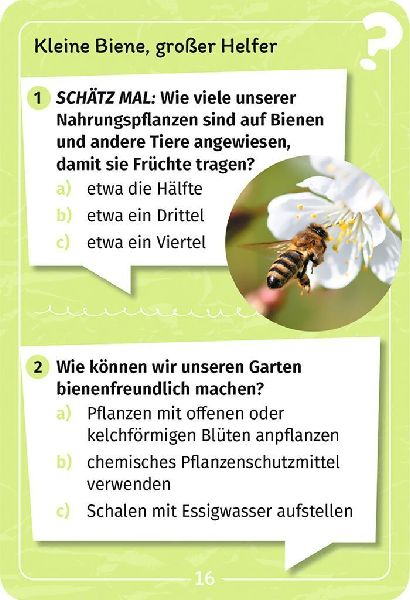 Mein Garten-Forscherquiz