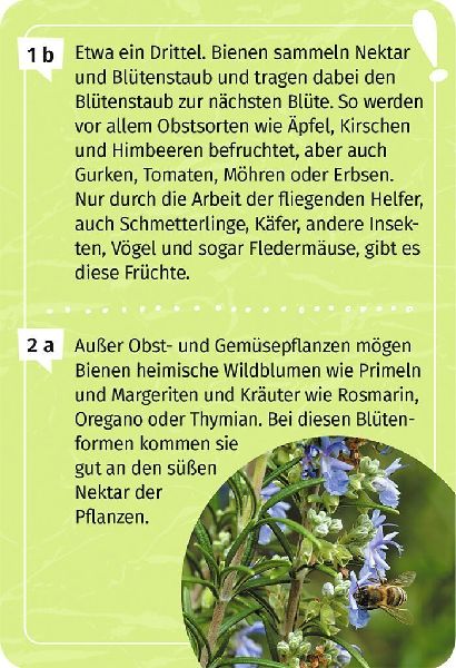 Mein Garten-Forscherquiz