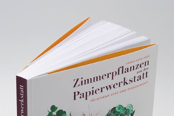 Zimmerpflanzen aus der Papierwerkstatt
