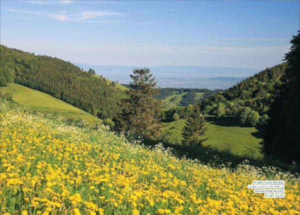 Wanderparadies Schwarzwald