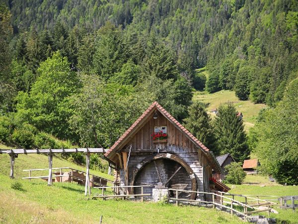 Wanderparadies Schwarzwald