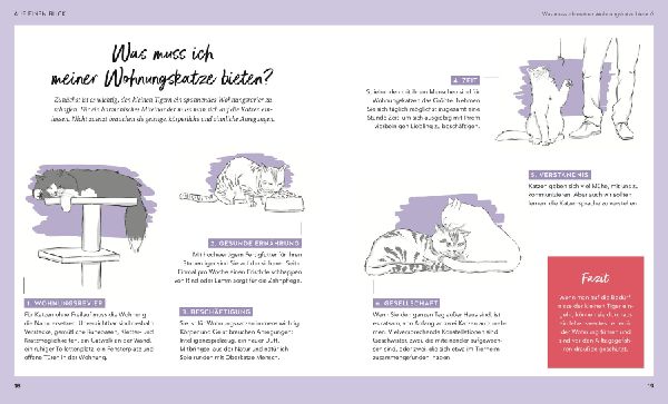 Wohnungskatzen