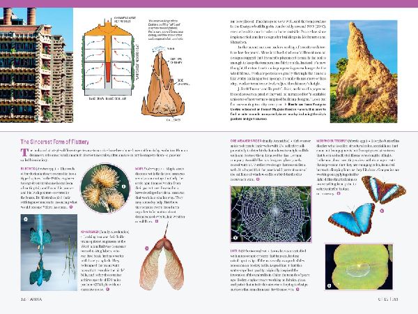 Atlas Obscura: Wild Life