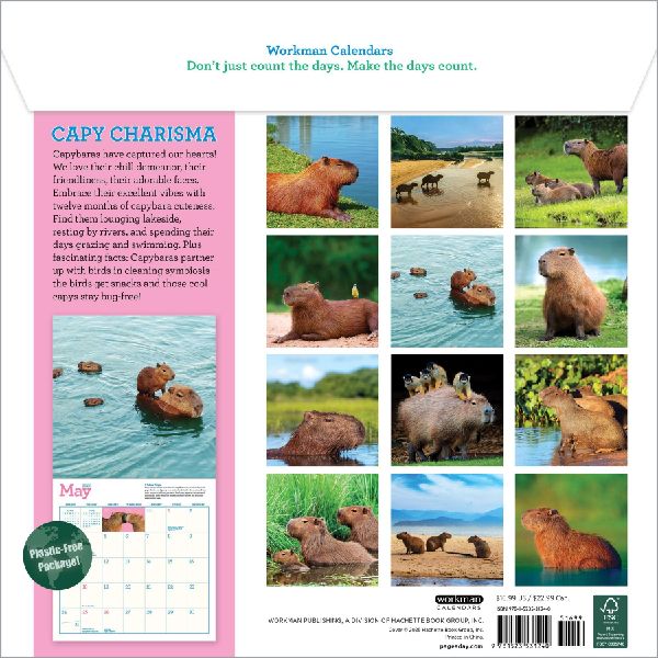 Capybara Wall Calendar 2026