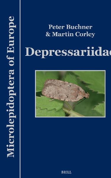 Depressariidae
