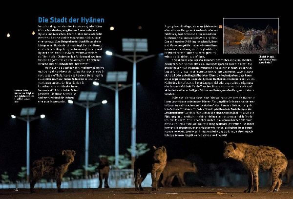 Entdecke die Hyänen