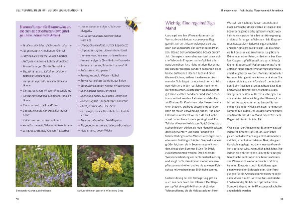 Bienenfreundlich Gärtnern