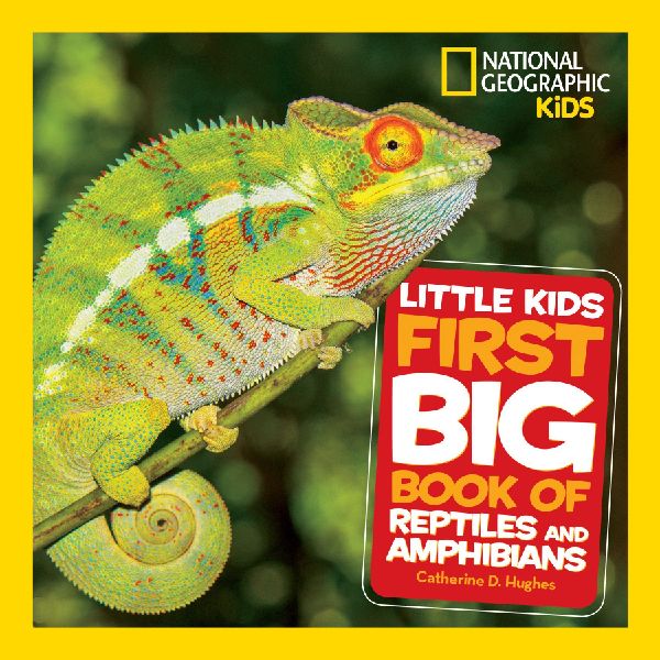 National Geographic Little Kids First Big Book of Reptiles and...