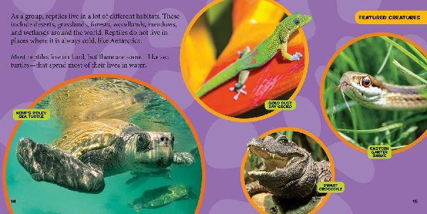 National Geographic Little Kids First Big Book of Reptiles and Amphibians