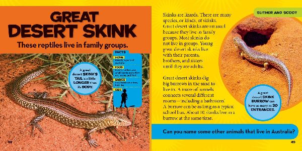 National Geographic Little Kids First Big Book of Reptiles and Amphibians