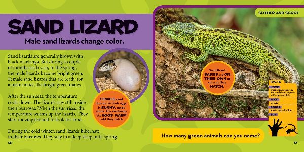 National Geographic Little Kids First Big Book of Reptiles and Amphibians