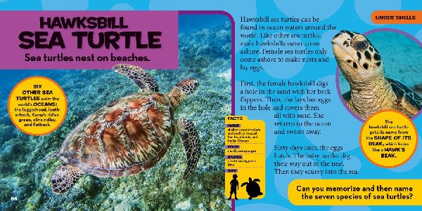 National Geographic Little Kids First Big Book of Reptiles and Amphibians