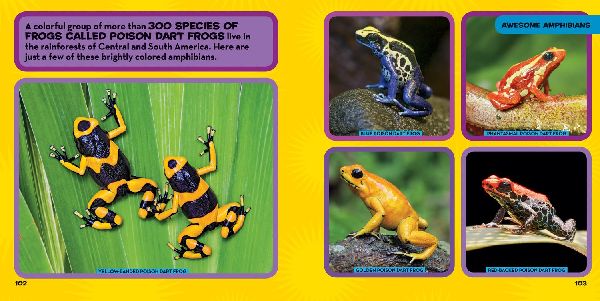 National Geographic Little Kids First Big Book of Reptiles and Amphibians