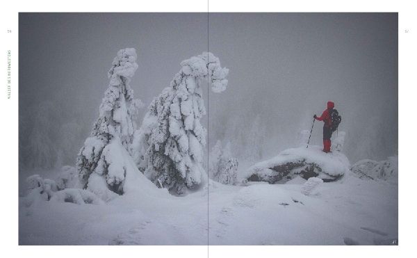Wild Guide Deutsche Wälder