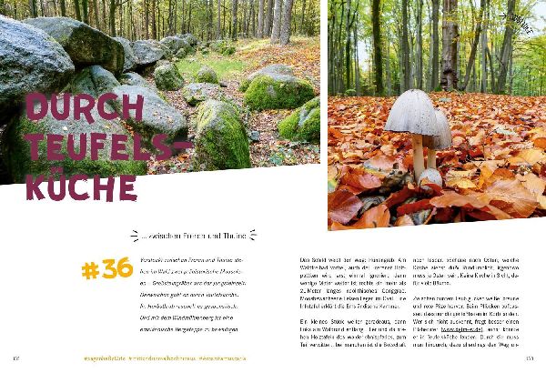 52 kleine & große Eskapaden im Emsland