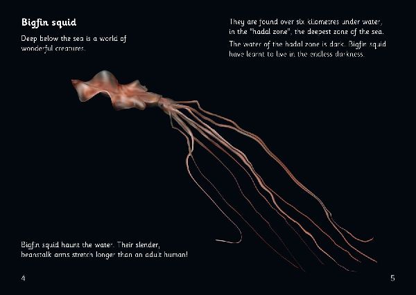 The Deep