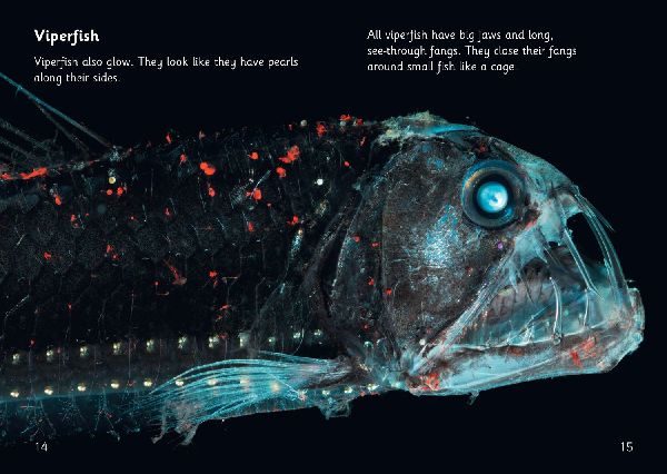 The Deep