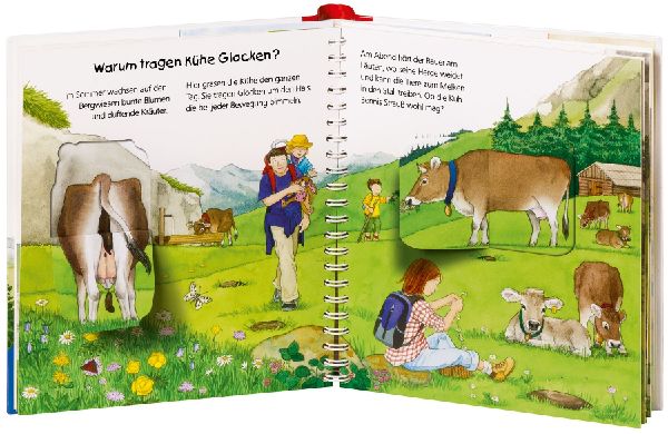 Wieso? Weshalb? Warum? junior, Band 42: In den Bergen