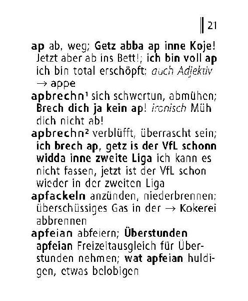 Langenscheidt Lilliput Ruhrpott