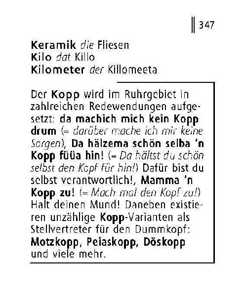 Langenscheidt Lilliput Ruhrpott