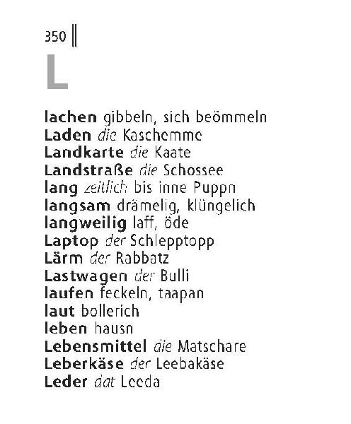 Langenscheidt Lilliput Ruhrpott