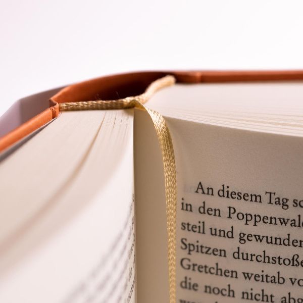 Die Sehnsucht nach Licht