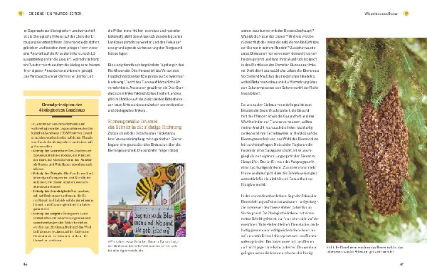Bienengemäß imkern