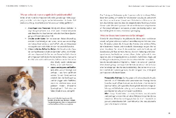 Impulskontrolle? Kein Problem!