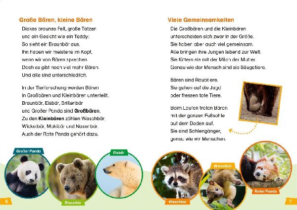 WAS IST WAS Erstes Lesen Band 26. Bären