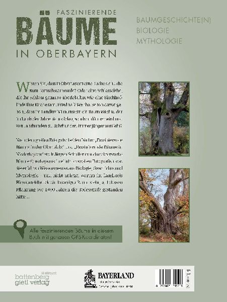 Faszinierende Bäume in Oberbayern