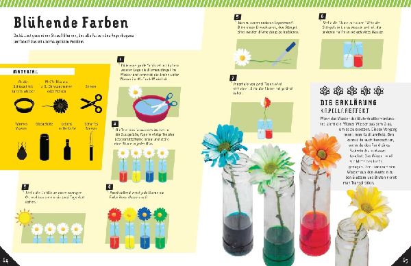 Coole Science-Experimente