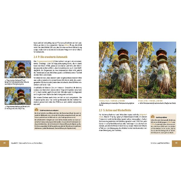 Nikon Z50 II: Das umfangreiche Praxisbuch zu Ihrer Kamera