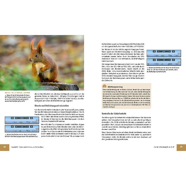 Nikon Z50 II: Das umfangreiche Praxisbuch zu Ihrer Kamera
