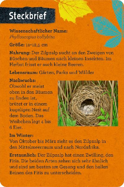 50 Vögel bestimmen